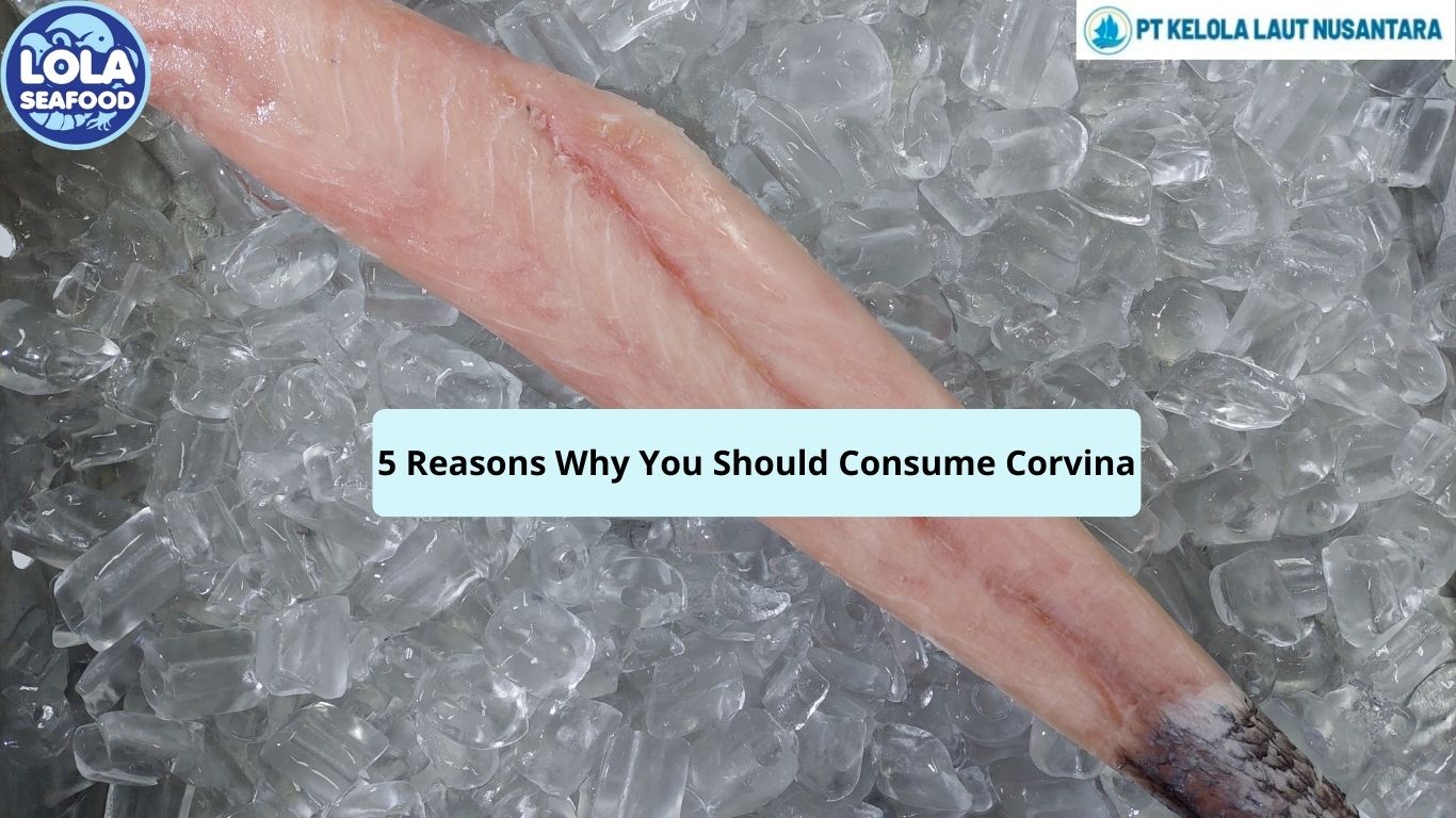 5 Reasons Why You Should Consume Corvina